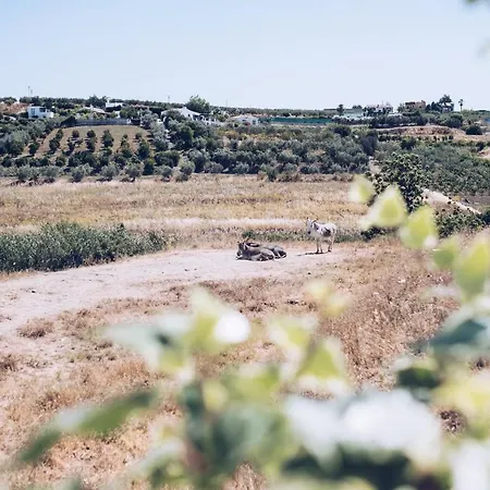 아파트 Kiri Escapes *